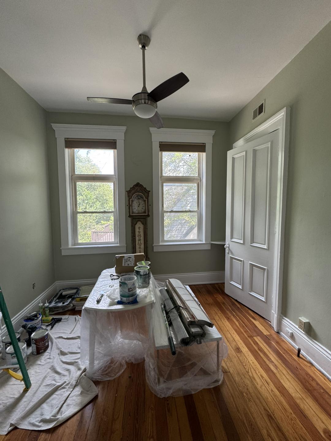 Interior and exterior painting